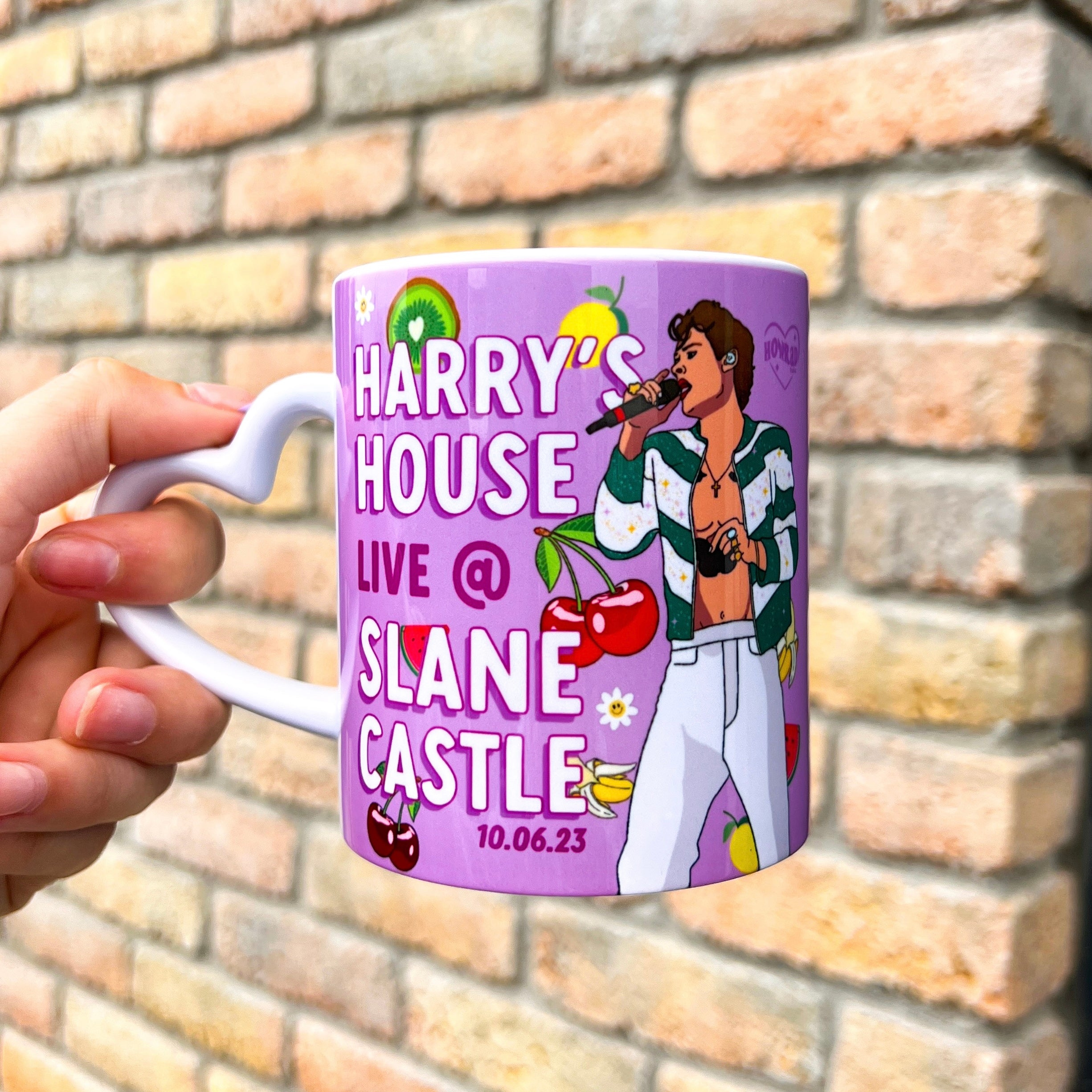 Harry’s house mug